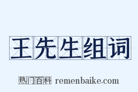 王先生组词是什么意思的图片